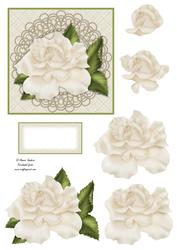 Roses & Pearls Step by Step Mix N Match