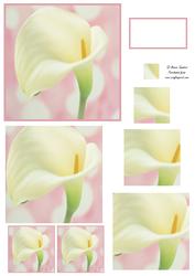 Beautiful Calla Lily Spiral Pyramid