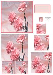 Stunning Carnations Spiral Pyramid