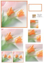 Beautiful Tulips Spiral Pyramid