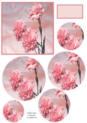 Stunning Carnations Circle Pyramid