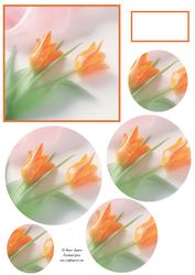 Beautiful Tulips Circle Pyramid