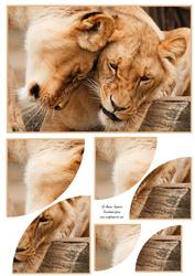 Cuddling Lions 2 Corner Stacker