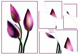 Stunning Floral 2 Corner Stacker