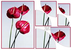 Stunning Floral 2 Corner Stacker