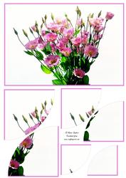 Stunning Floral 2 Corner Stacker