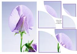 Stunning Floral 2 Corner Stacker