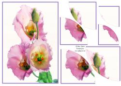 Stunning Floral 2 Corner Stacker