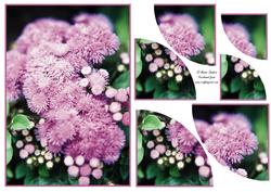 Beautiful Floral 2 Corner Stacker