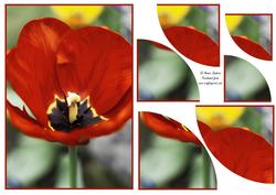Beautiful Floral 2 Corner Stacker