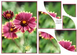 Beautiful Floral 2 Corner Stacker