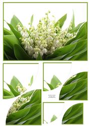 Stunning Floral 2 Corner Stacker
