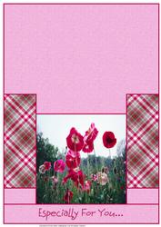Stunning Deep Pink Poppies Stagger Fold Card