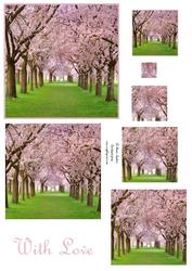 Cherry Blossoms Pyramid