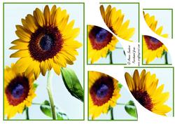 Summer Sun Flower 2 Corner Stacker
