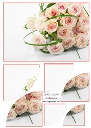 Pink Rose Bouquet 2 Corner Stacker
