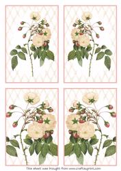 4 Elegant Rose Toppers