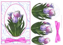 Pink & Lilac Tulips Card Front & Pyramid