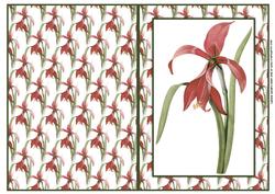 Beautiful Floral Quick Card / Note Card