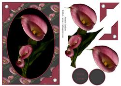 Stunning Calla Lilys A5 Card Front & Decoupage