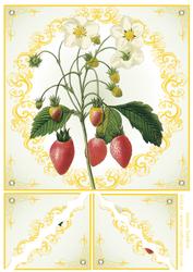 Strawberry Patch 8x8 Card Front & Corner Stackers