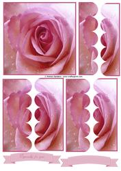 Pink Rose Close Up Scallop Side Stacker