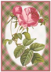 Red Rose A4 Topper/card