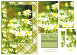 Watercolour Daisies A5 Quick Card