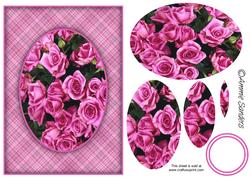 Bright Pink Roses A5 Card Front