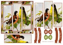 Beautiful Vintage Painted Birds 6x6 Panel Card