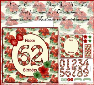 Vintage Carnations Any Age 8x8 Mini Kit