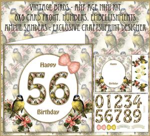 Beautiful Vintage Birds Any Age 8x8 Mini Kit