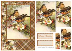 Beautiful Vintage Painted Birds A5 Quick Card