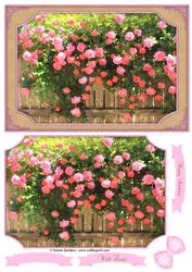 Beautiful Trailing Roses Watercolour Quick Card