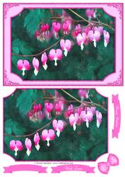 Beautiful Bleeding Hearts Flowers Watercolour Quick Card