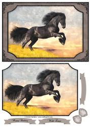 Wild Stallion Horse Watercolour Quick Card