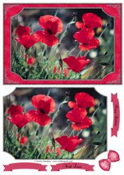 Pretty Red Poppies Quick Card