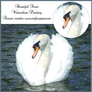 Beautiful Swan Watercolour Painting Cu4cu