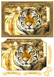 Big Beautiful Tiger Watercolour Quick Card