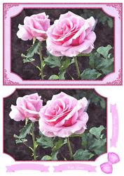 Beautiful Pink Rose Watercolour Quick Card