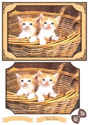 2 Little Kittens Watercolour Quick Card