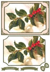 Christmas Holly Branch Watercolour Quick Card