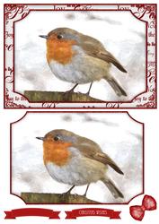 Winter Robin Watercolour Quick Card