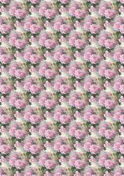 Vintage Pretty Pink Roses Backing Paper