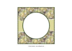 Beautiful 6x6 Torn Strip Vintage Roses Insert