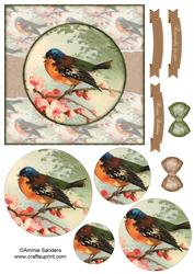 Beautiful 6x6 Torn Strip Vintage Bird Quick Card