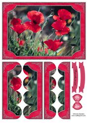 Beautiful Red Poppies Scallop Side Stacker