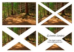 Woodland Walk Side Step Stacker