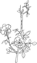 Rose Digi Stamp