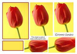 Gorgeous Red Tulip Pyramid